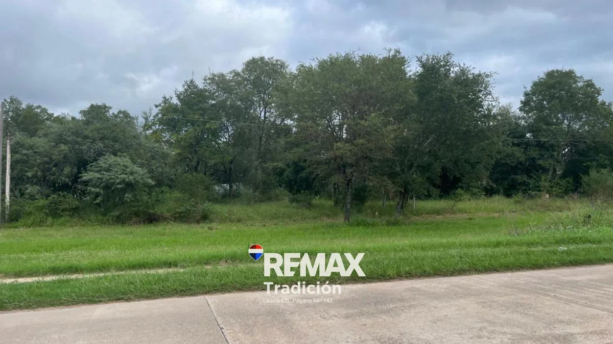 OPORTUNIDAD! LOTE/S en RUTA INGRESO COL. BENITEZ