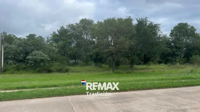 OPORTUNIDAD! LOTE/S en RUTA INGRESO COL. BENITEZ