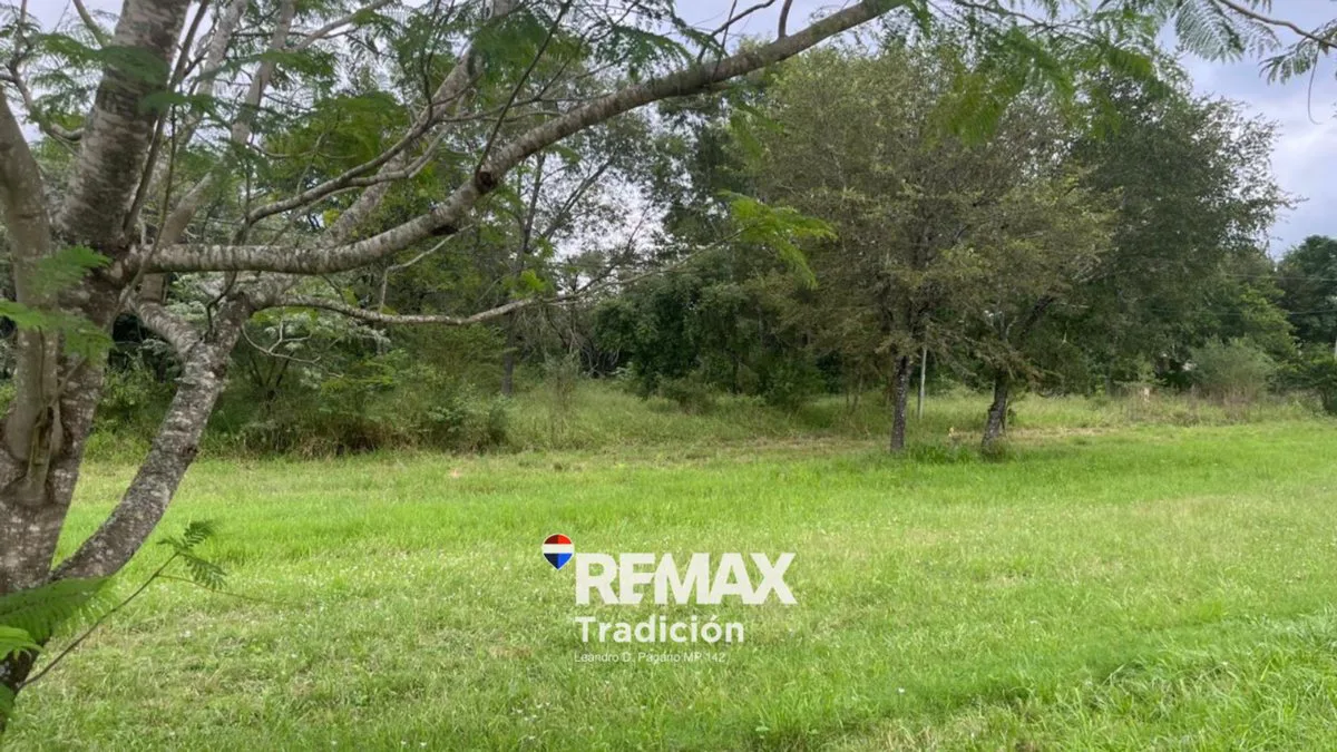 OPORTUNIDAD! LOTE/S en RUTA INGRESO COL. BENITEZ foto 2