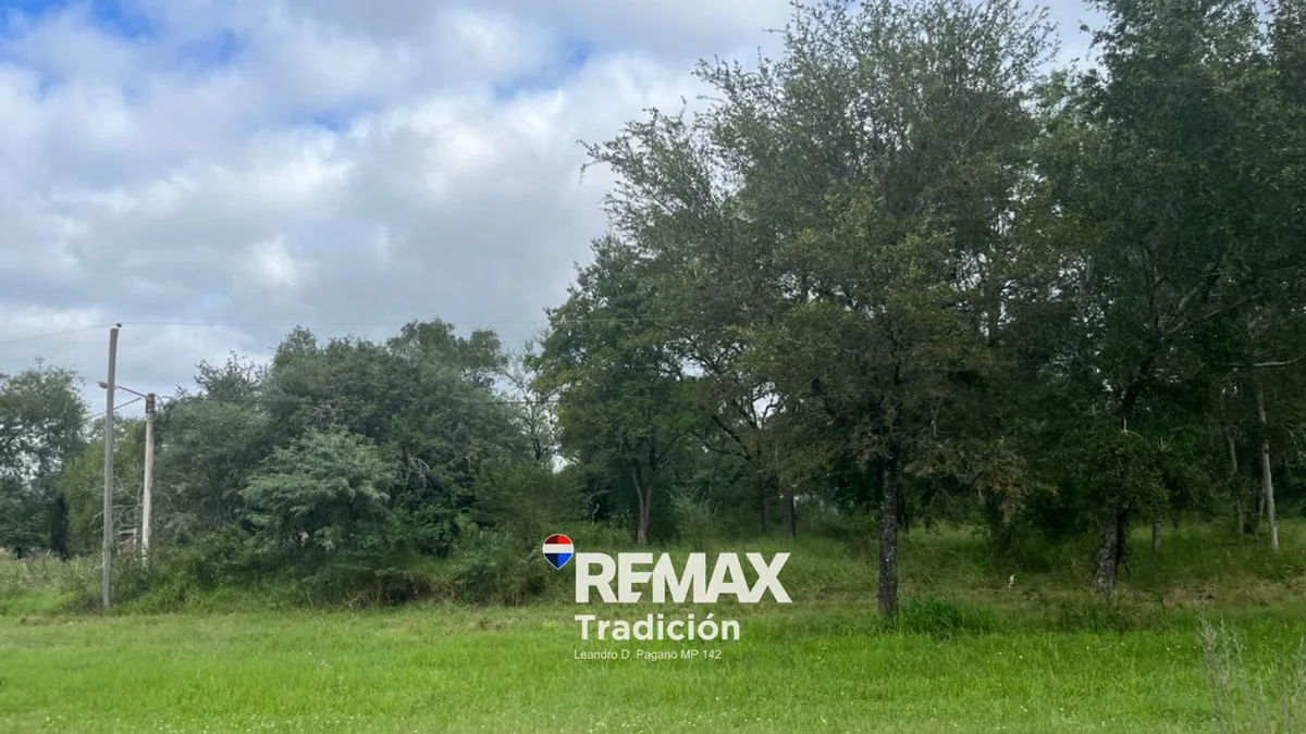 OPORTUNIDAD! LOTE/S en RUTA INGRESO COL. BENITEZ foto 3