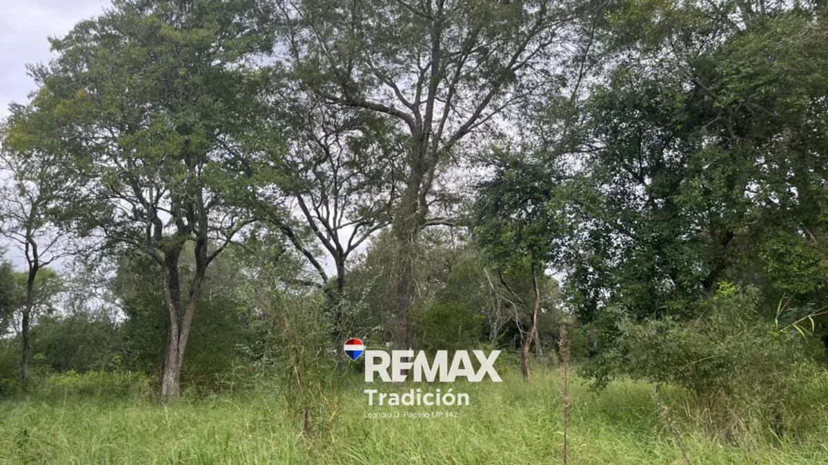 OPORTUNIDAD! LOTE/S en RUTA INGRESO COL. BENITEZ foto 5