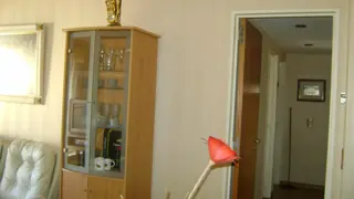 VILLA URQUIZA, SEMIPISO AMUEBLADO 3 AMBIENTES CON COCHERA foto 4