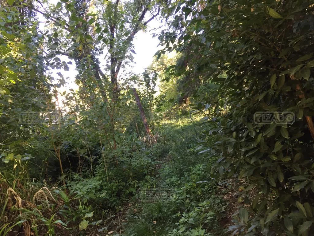 Mocoví 300 foto 4