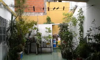 EXCELENTE CASA MULTIFAMILIAR ABAJO CASA DE 3 AMB. CON LOCAL ,ARRIBA 2 DPTOS.3 AMB. Se escuchan ofertas foto 5
