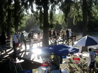 DELTA , 6 HECTAREAS , 6 CABAÑAS, RESTAURANTE, PISCINA foto 4