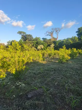 Terreno 816m2 Venta Villa Bárbaro Oberá Distrito Turístico Dr2m foto 2