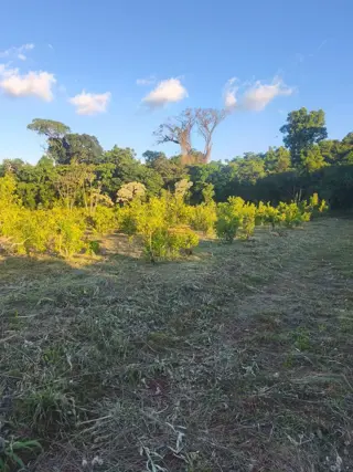 Terreno 816m2 Venta Villa Bárbaro Oberá Distrito Turístico Dr2m foto 4