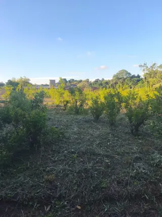 Terreno 816m2 Venta Villa Bárbaro Oberá Distrito Turístico Dr2m foto 5