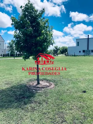 VENTA LOTE CENTRAL AYRES PLAZA . PILAR foto 2
