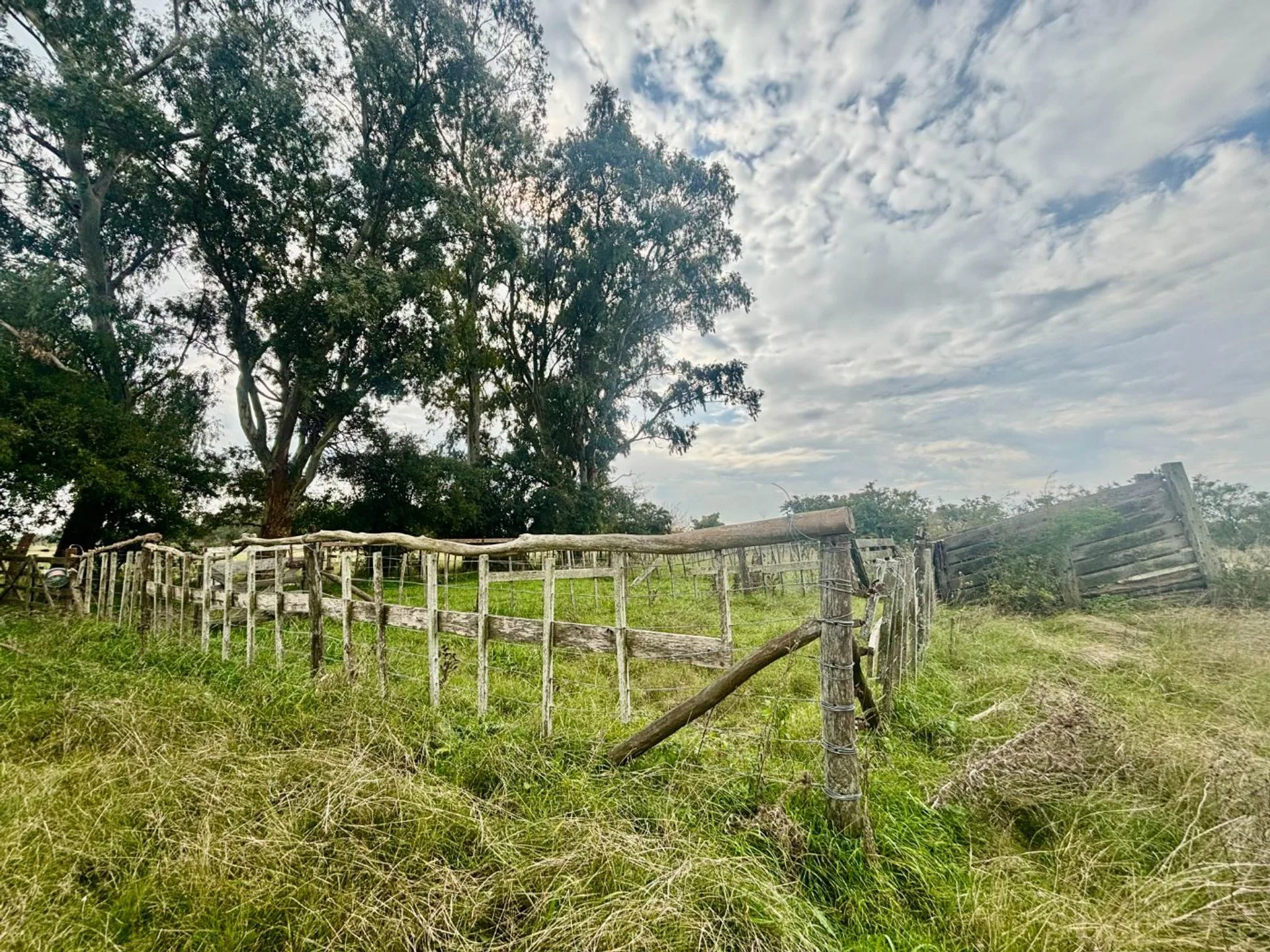 35 Has Agrícolas – Ganaderas en Magdalena BS AS