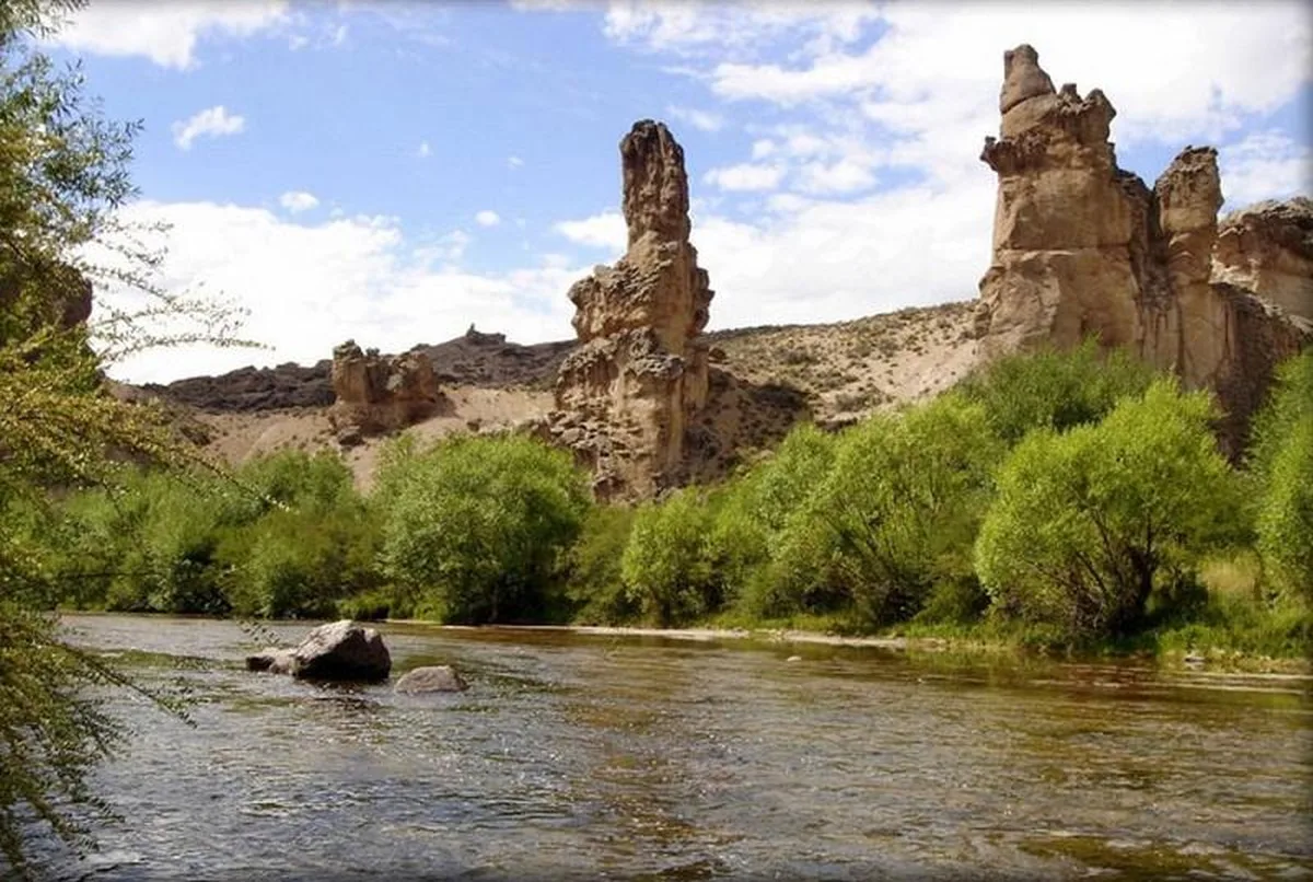 RIO PICHILEUFU Ruta 23 foto 3