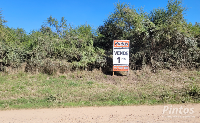 1 Ha sobre calle Antelo, a solo 600 mts de calle de Ingreso a Balneario - Termas SAN JOSE.