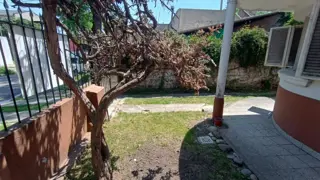 RELEVANTE CASA 4 AMB, (142 Mts2) S/ LOTE 250 Mts2 con COCHERA Y FDO LIBRE en VILLA BONICH foto 2