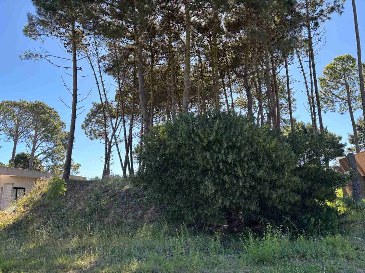 LOTE EN VENTA PINAMAR BARRIO NAYADES EN ALTURA foto 2