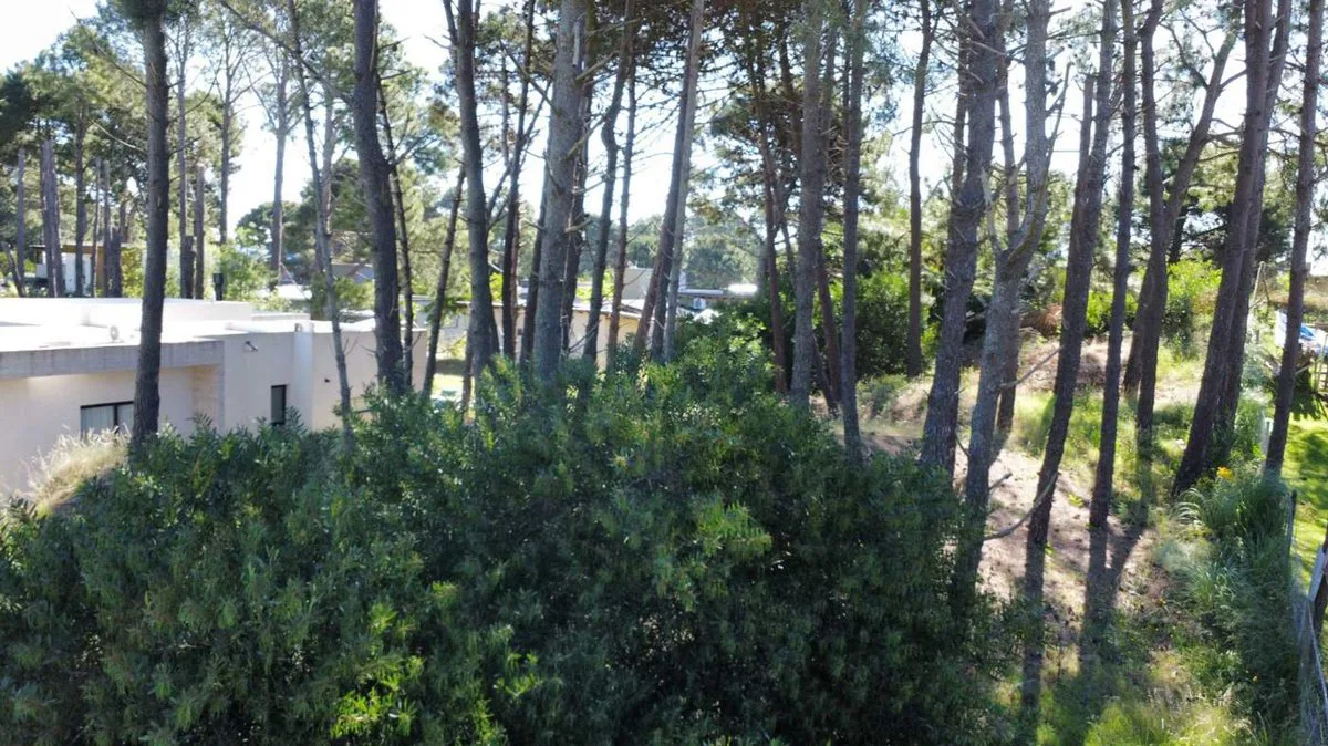 LOTE EN VENTA PINAMAR BARRIO NAYADES EN ALTURA foto 5