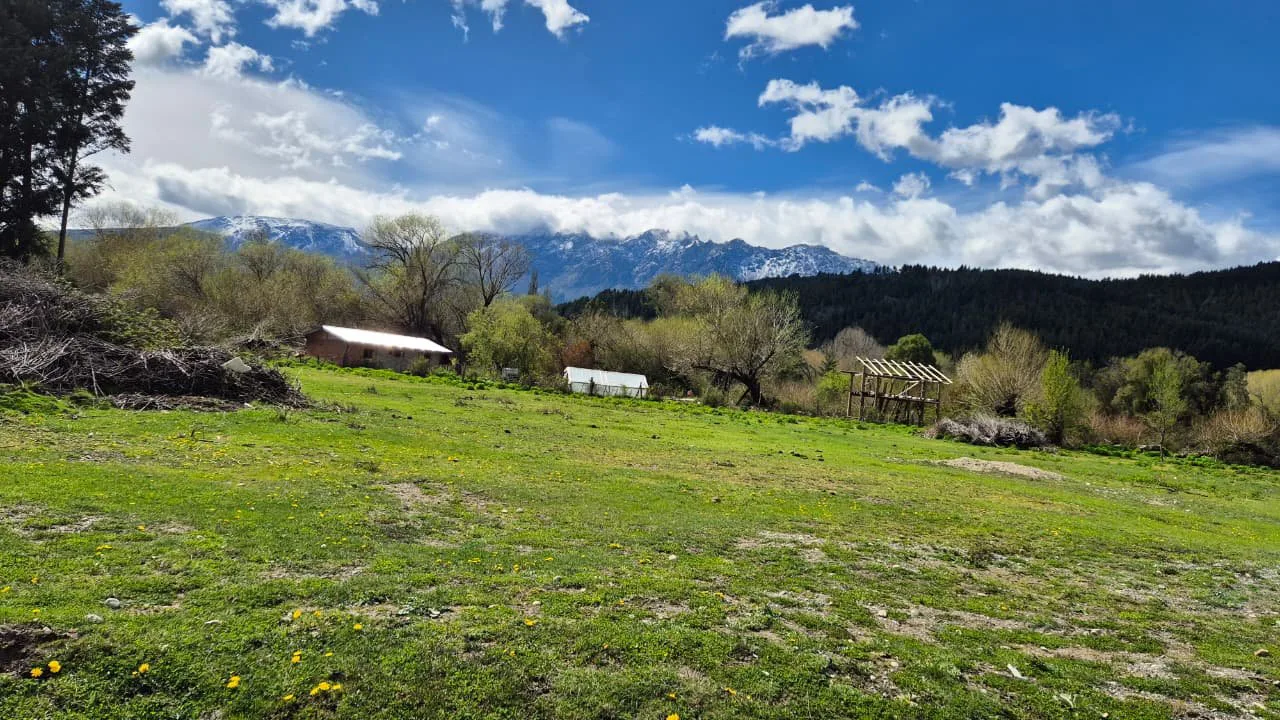 LAGO PUELO (Paraje Entre Rios) Terreno de 1.800 mt² Loteo "Las Pitras" foto 4