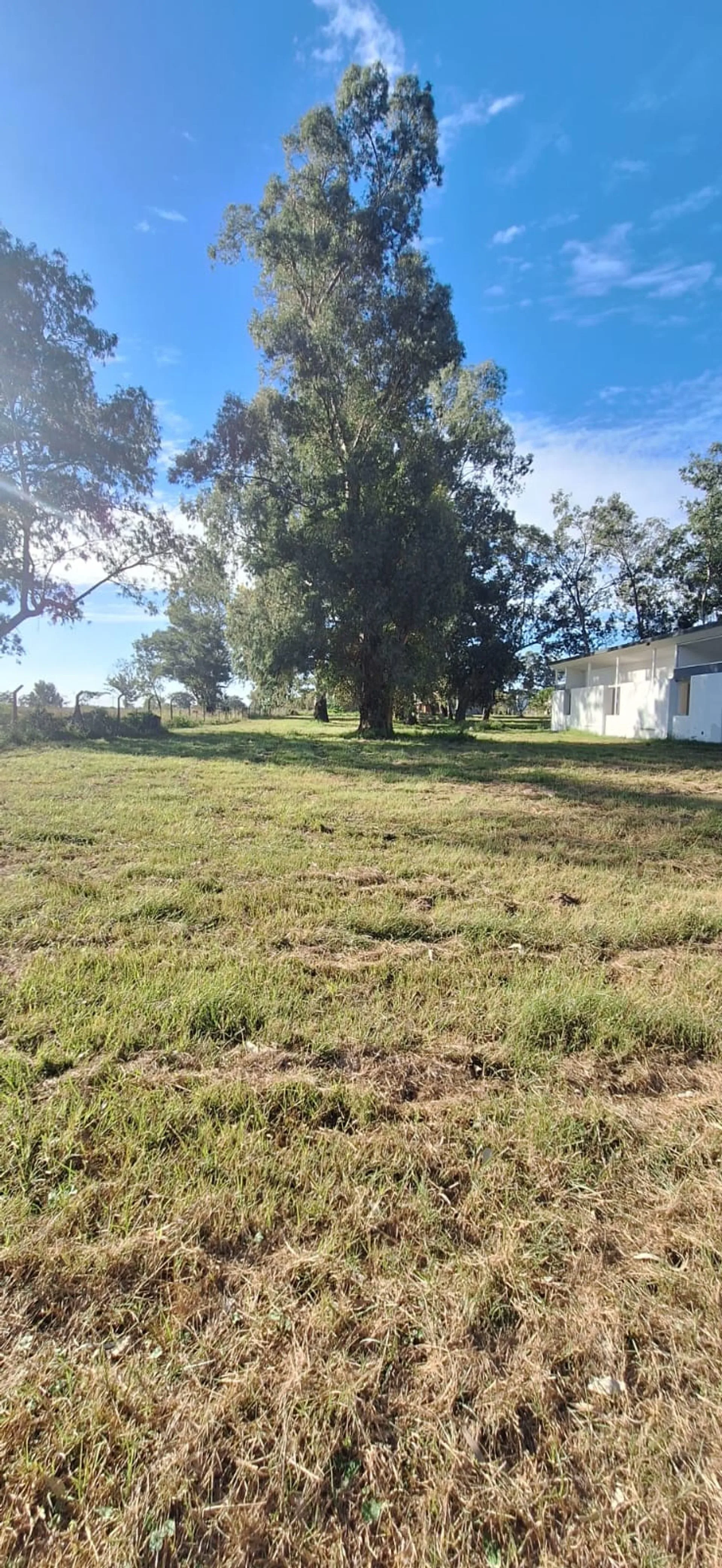 Vendo lote 937 m2 · Aldea Setubal · Barrio cerrado foto 5