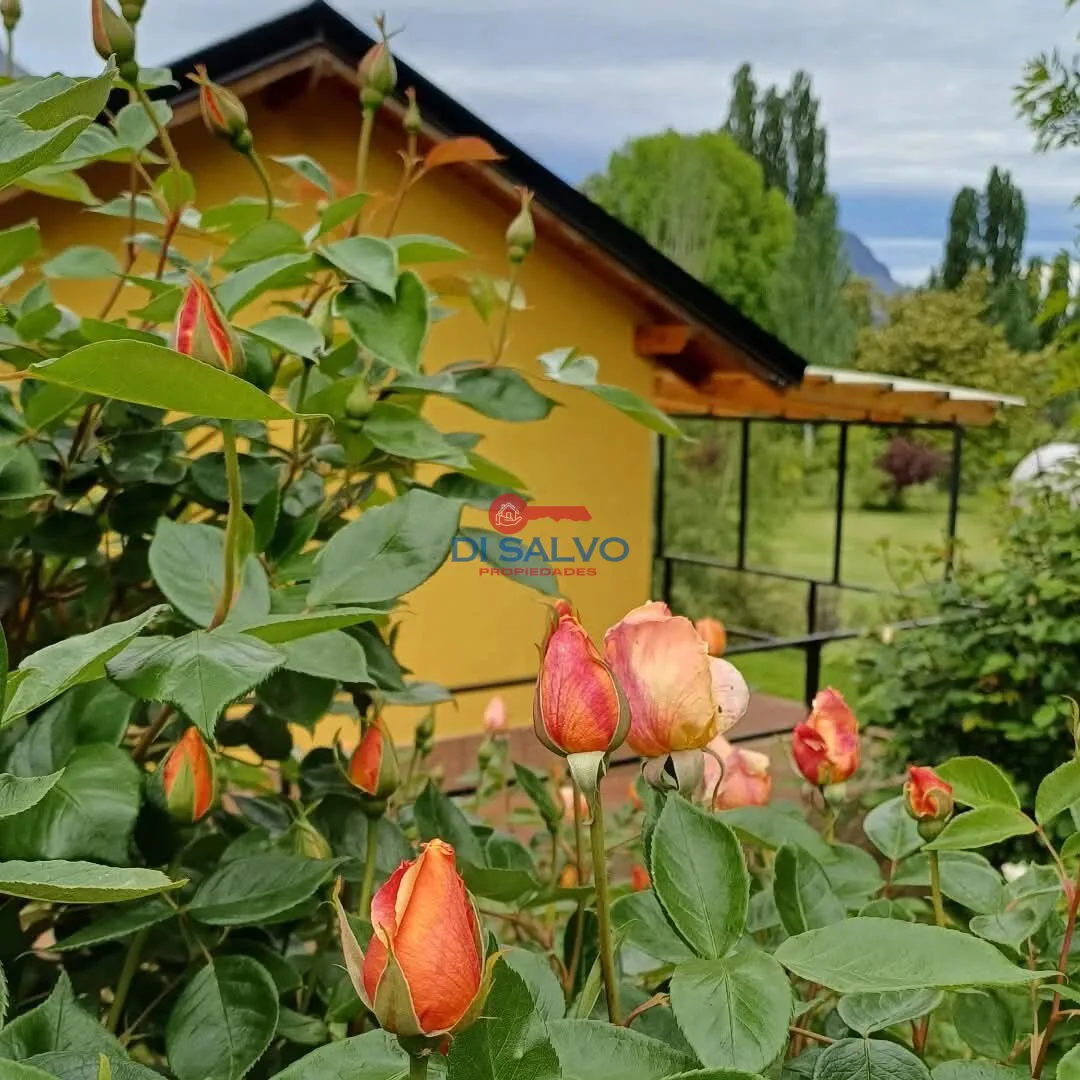 Complejo a la venta en Las Golondrinas, Lago Puelo foto 3