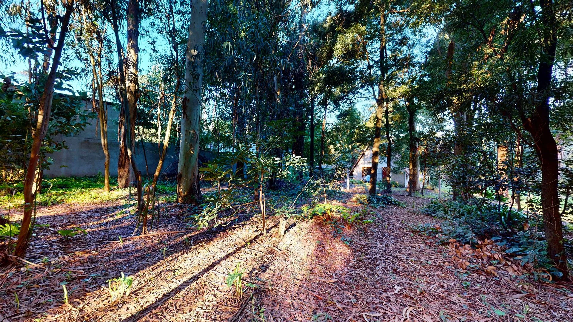 VENTA DOS lotes en Bosque Peralta Ramos y casa foto 2