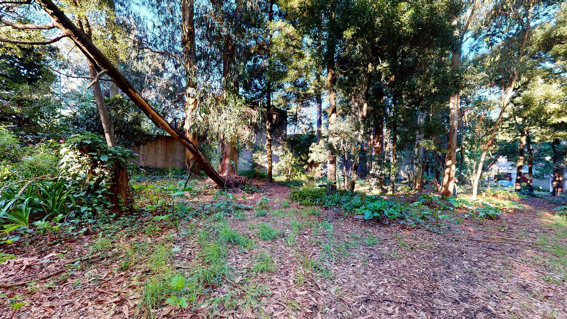VENTA DOS lotes en Bosque Peralta Ramos y casa foto 3