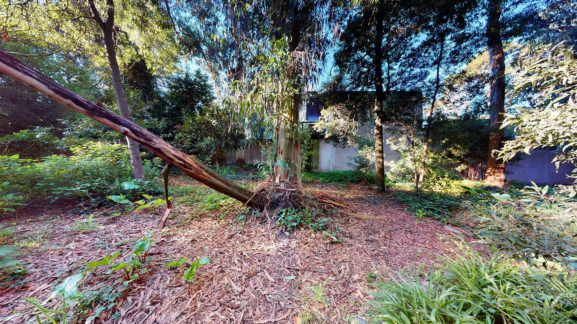 VENTA DOS lotes en Bosque Peralta Ramos y casa foto 4