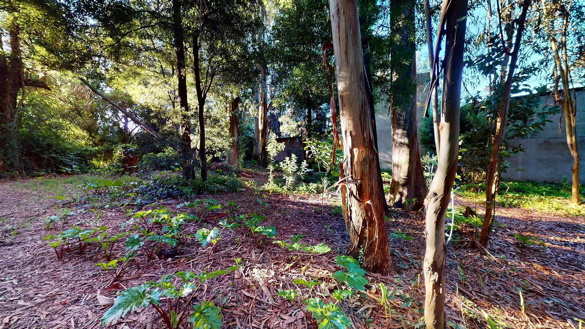 VENTA DOS lotes en Bosque Peralta Ramos y casa foto 5