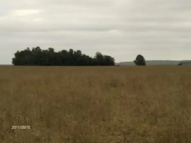 Campo en Azul 130 Has!!