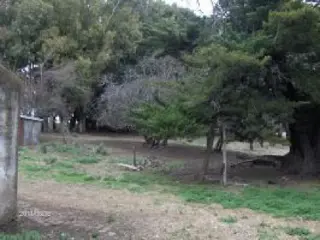 Campo en Azul 130 Has!! foto 4