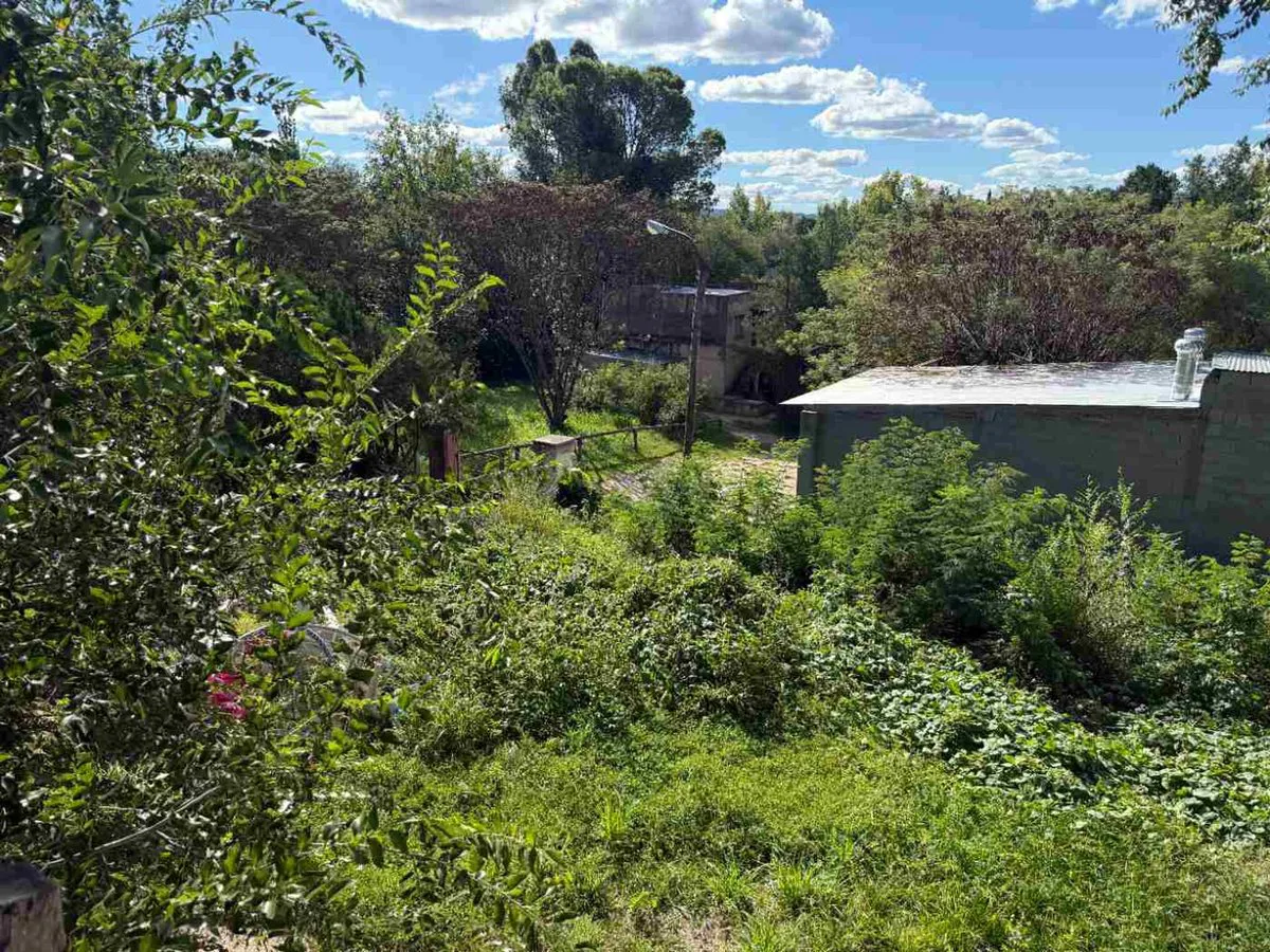 VENTA TERRENO EN MINA CLAVERO foto 3