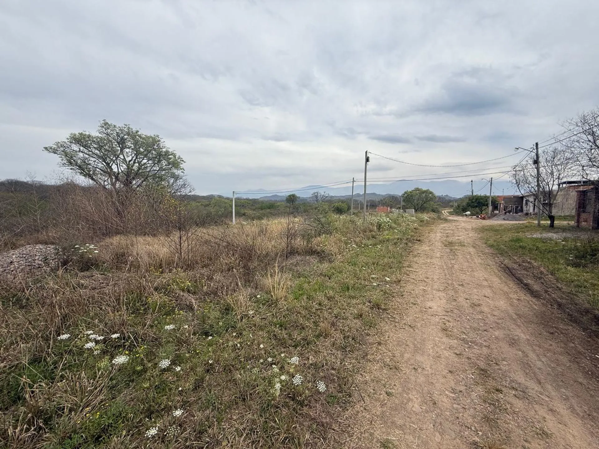 VENTA TERRENO 250 M2 LOTEO NUEVO ALISOS foto 2