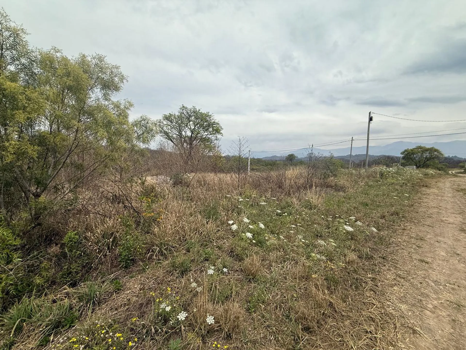 VENTA TERRENO 250 M2 LOTEO NUEVO ALISOS foto 3