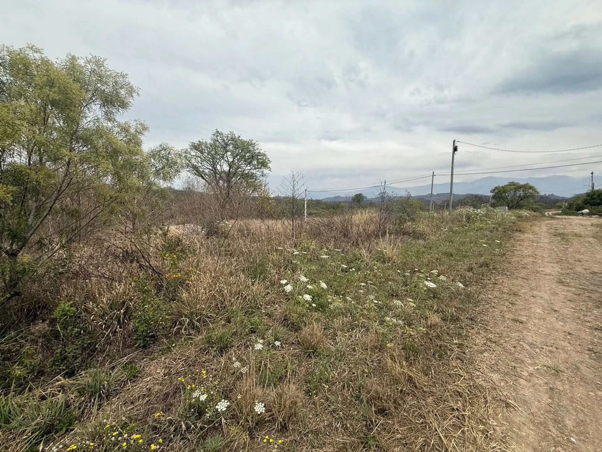 VENTA TERRENO 250 M2 LOTEO NUEVO ALISOS foto 4