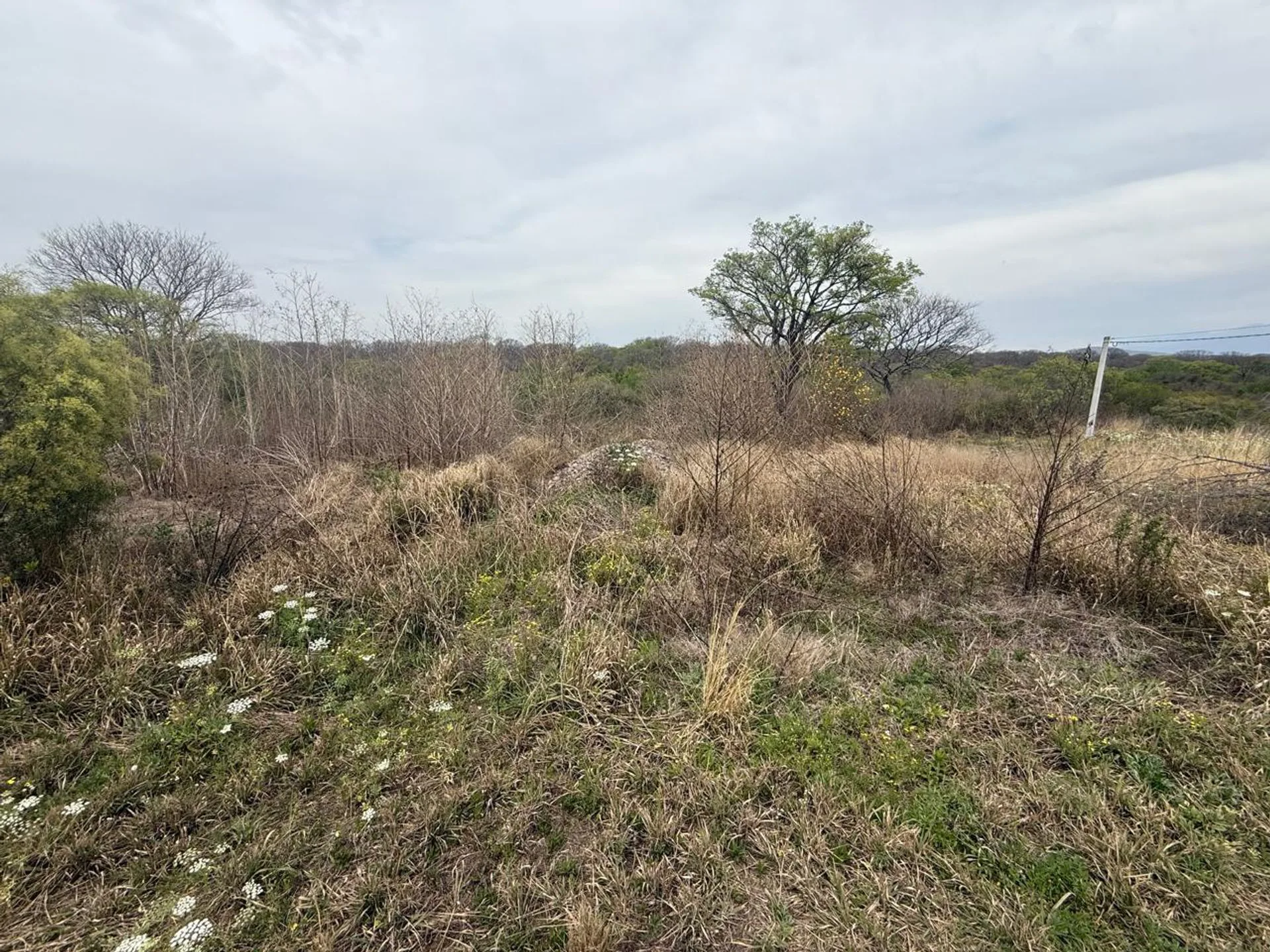 VENTA TERRENO 250 M2 LOTEO NUEVO ALISOS foto 5