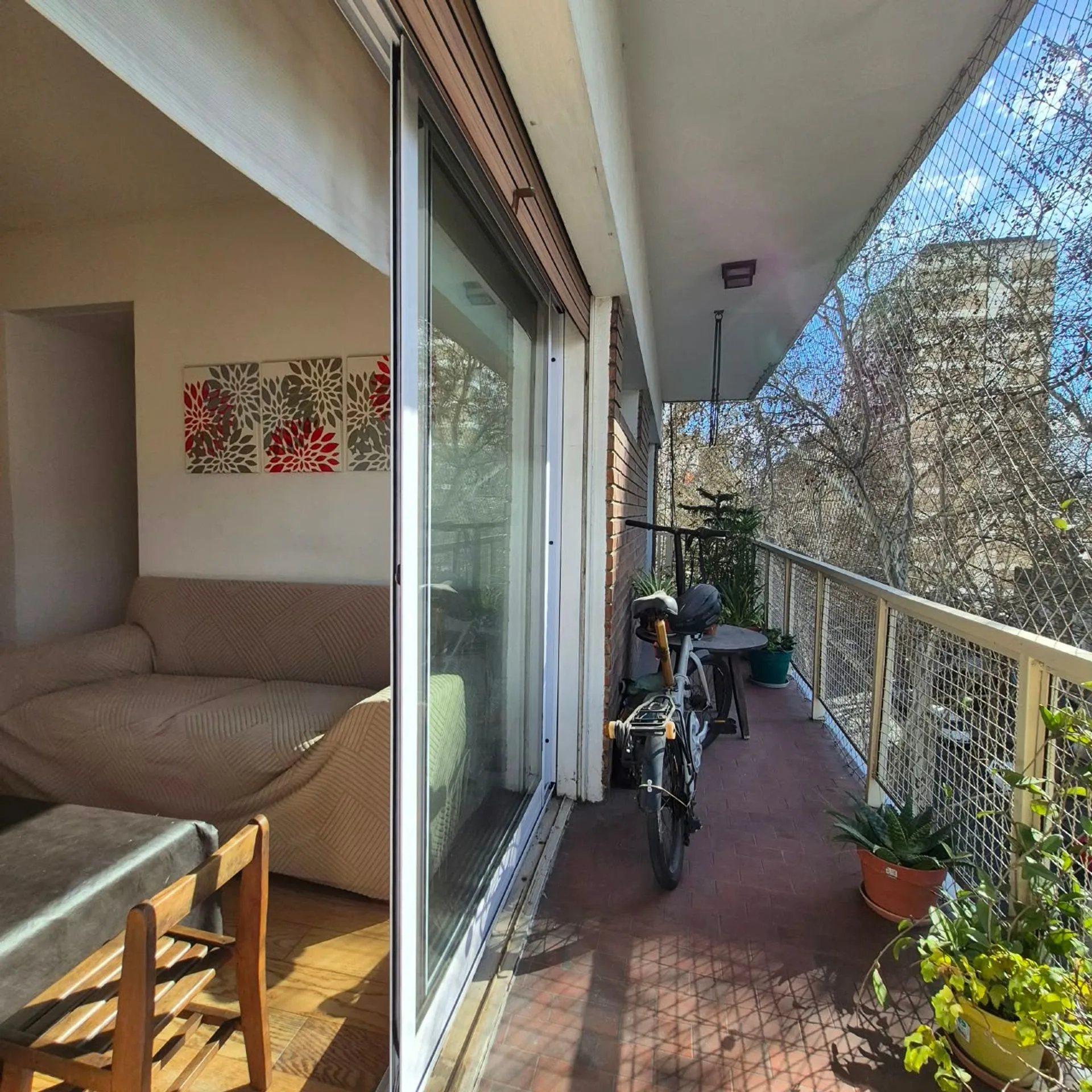 Venta 4 amb, balcon al frente, Almagro foto 4