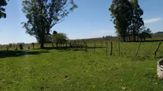 VENDO 100 HAS GANADERAS!! foto 5