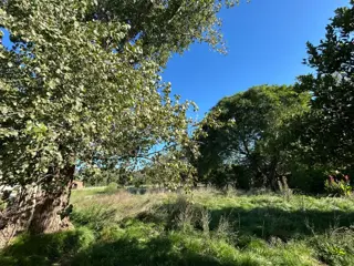 VENTA DE LOTE EN Bº LA PARADA - CORONEL BRANDSEN foto 4