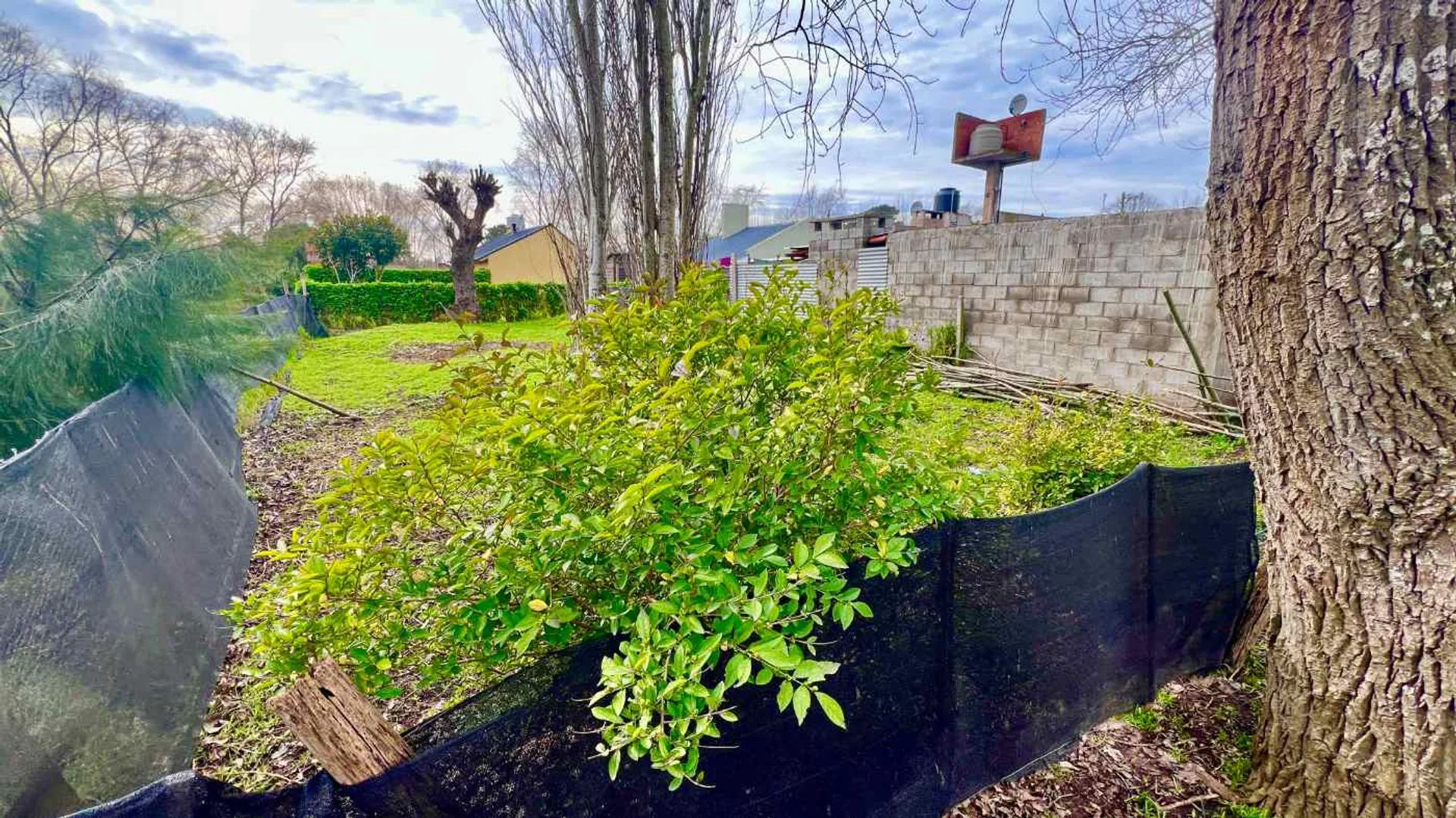 VENTA LOTE 211 M2 PLAYA SERENA SUR ELECTRICIDAD foto 5