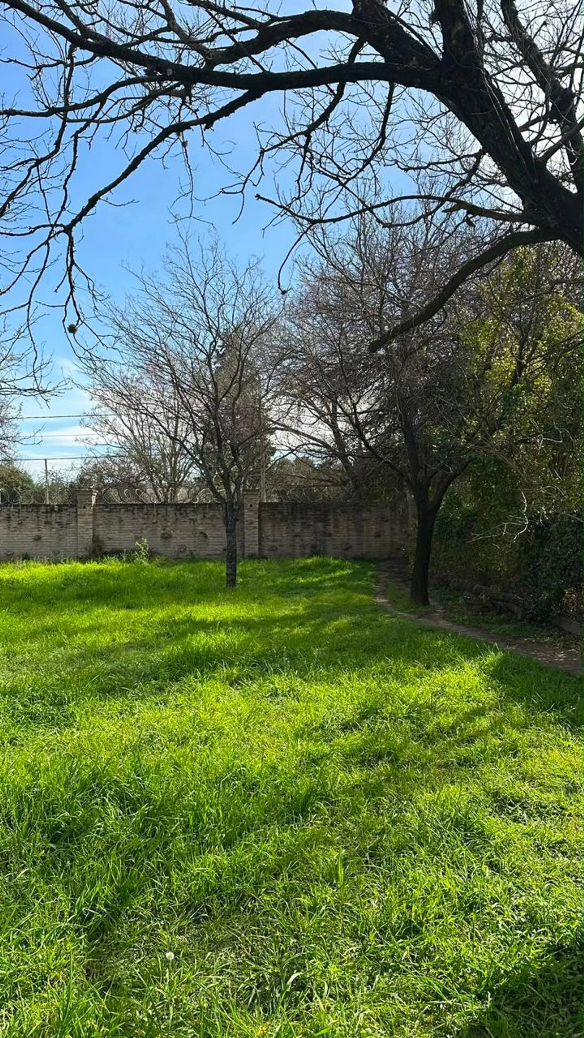 VENTA LOTE ESQUINA BARRIO VILLA RIVERA INDARTE foto 5