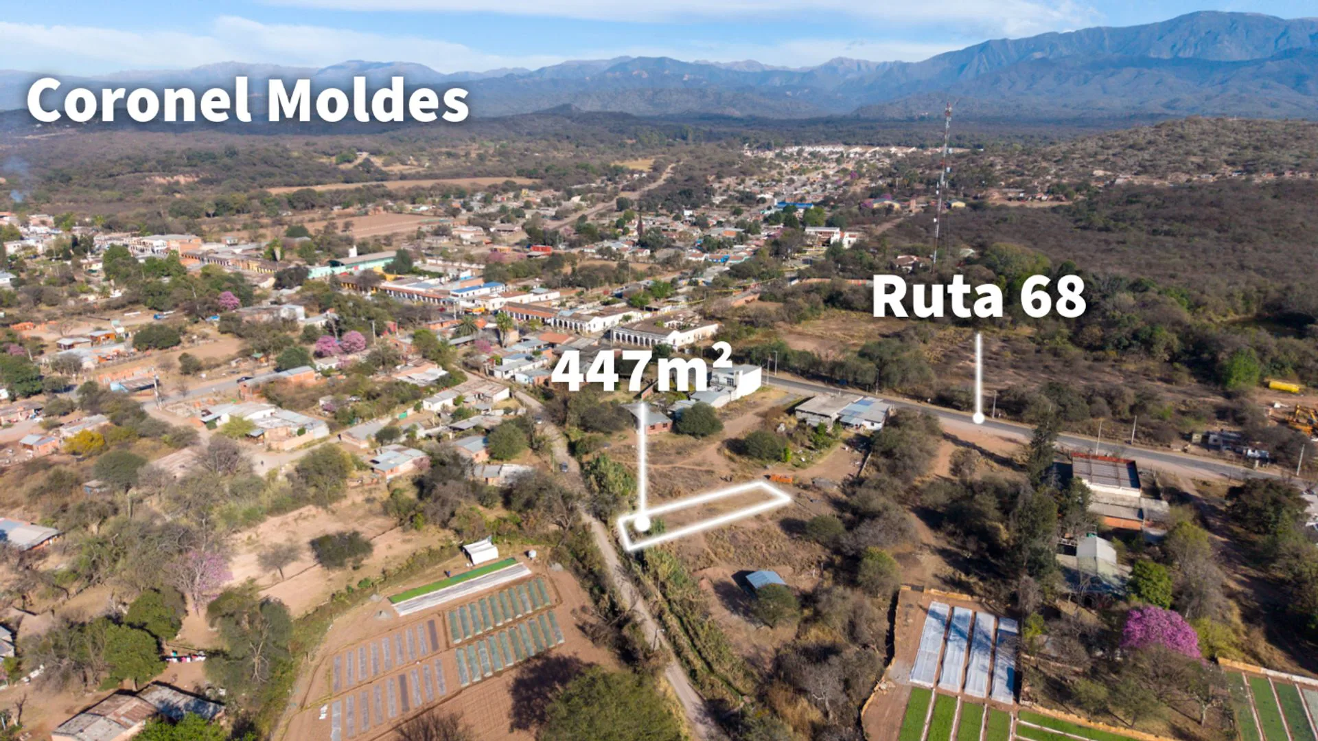 VENTA TERRENO 447 M2 CORONEL MOLDES SALTA foto 2