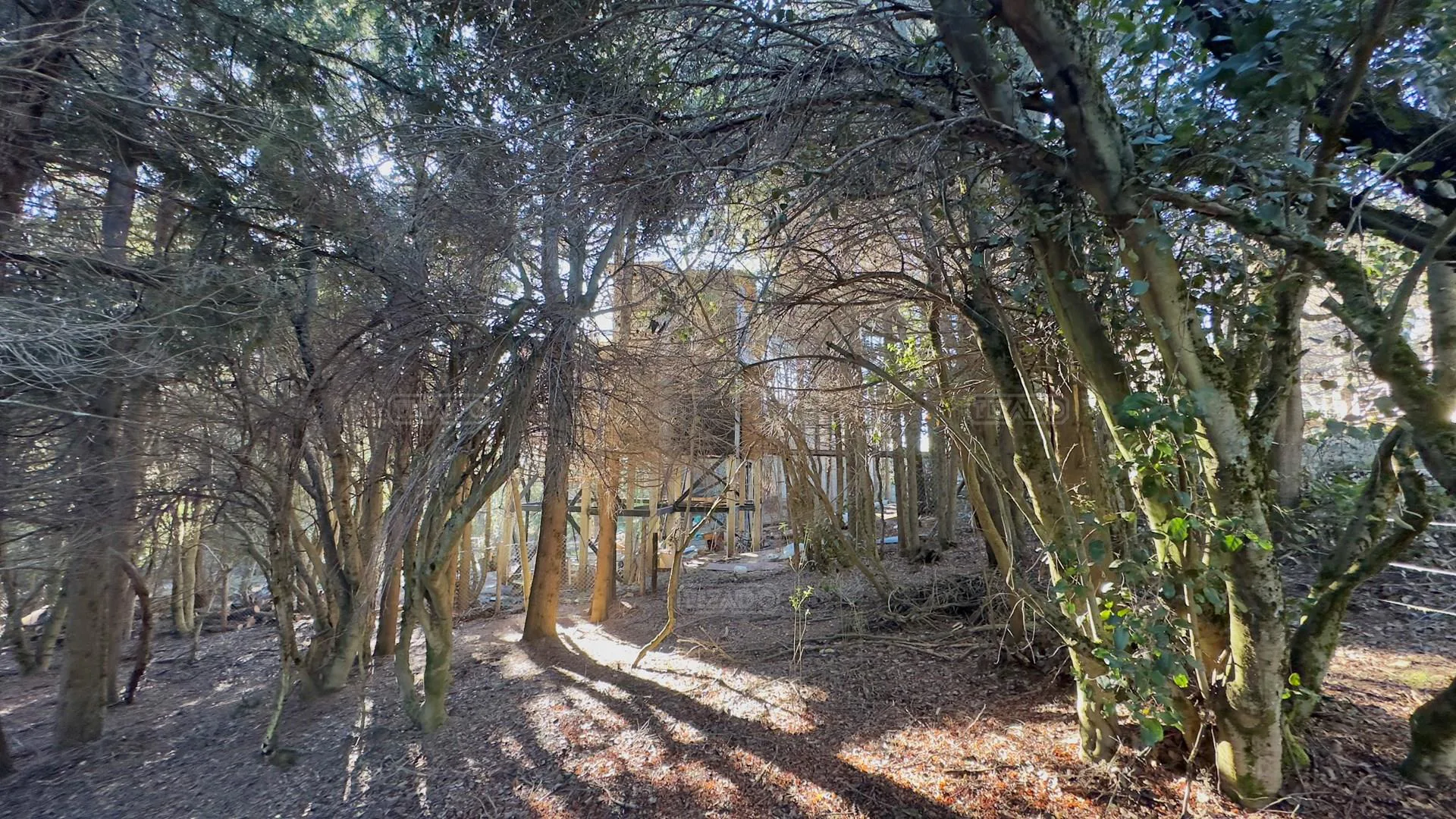 Pueyrredon Prilidiano foto 4