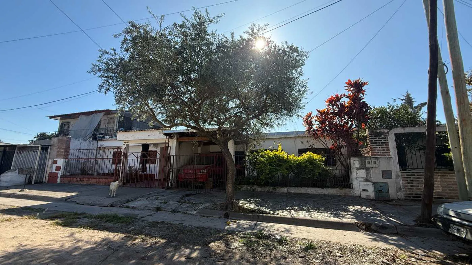 VENTA DE CASA BARRIO 249 VIVIENDA SAN PEDRITO foto 2