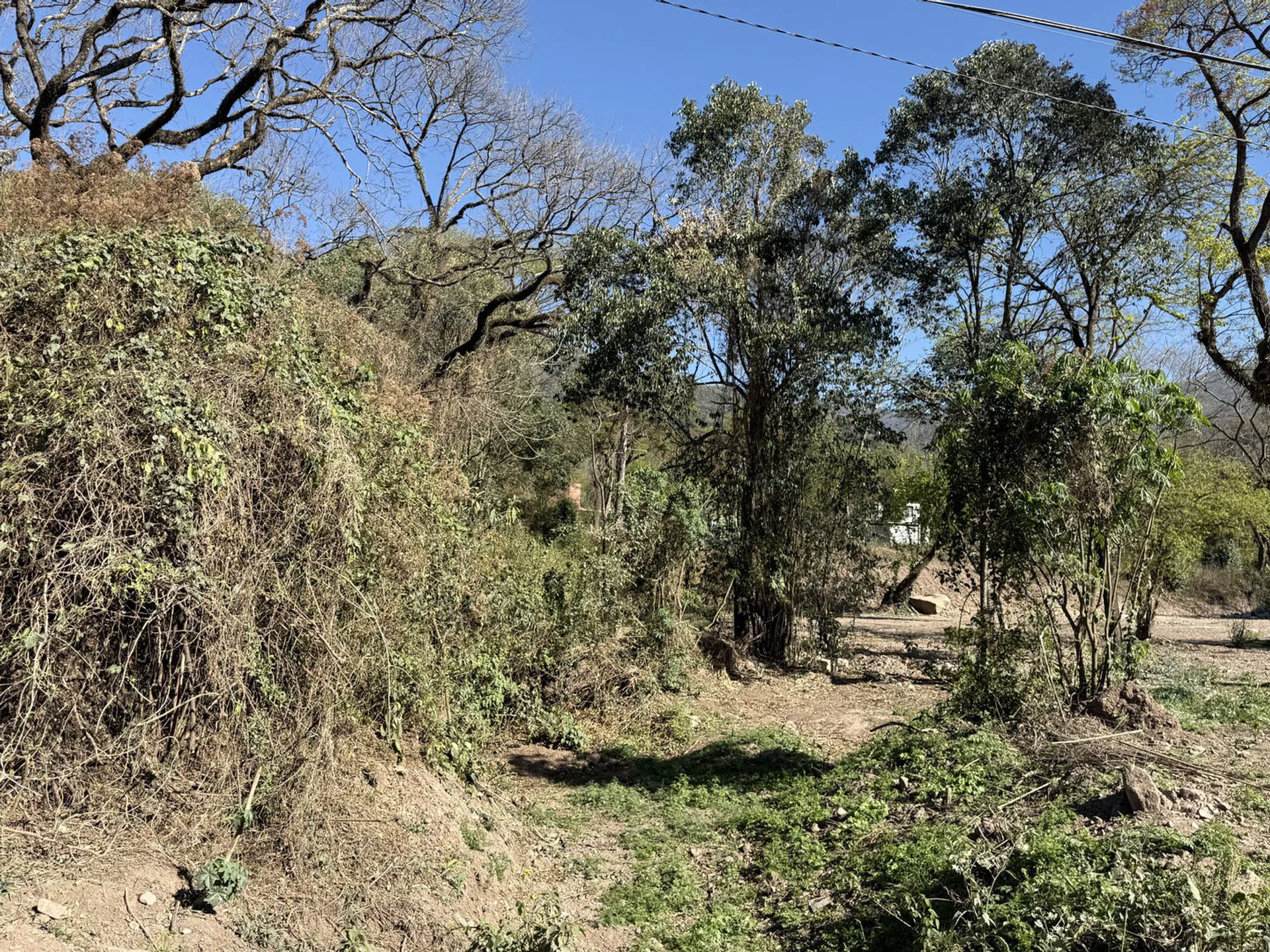 Venta terreno San Lorenzo naturaleza&tranquilidad foto 3
