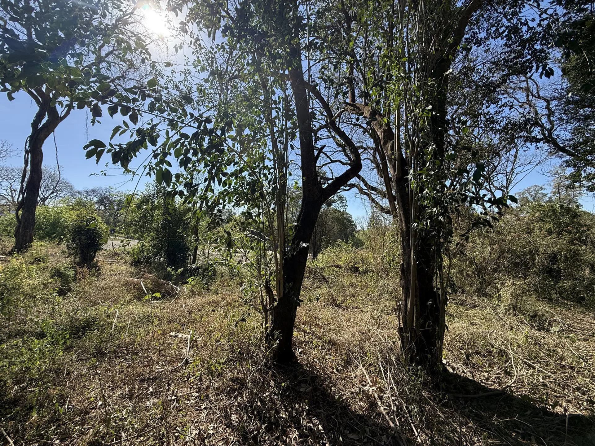 Venta terreno San Lorenzo naturaleza&tranquilidad foto 5