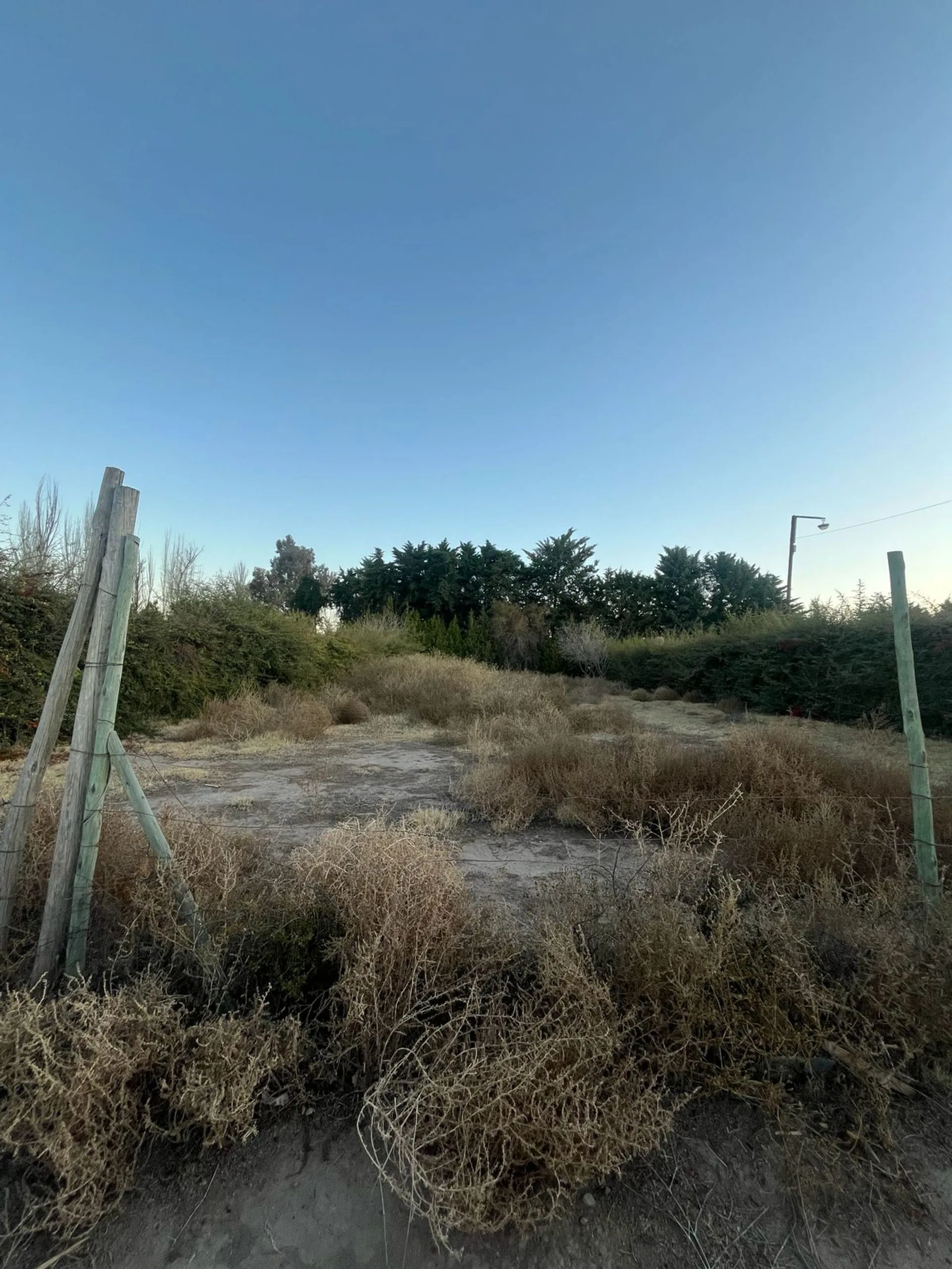 Terreno en venta Rivadavia foto 4