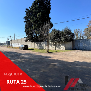 EXCELENTE LOTE EN ALQUILER foto 2