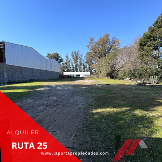 EXCELENTE LOTE EN ALQUILER foto 3