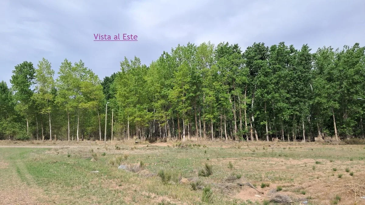 VENTA de TERRENO en Loteo EL GAUCHITO, PLOTTIER foto 3