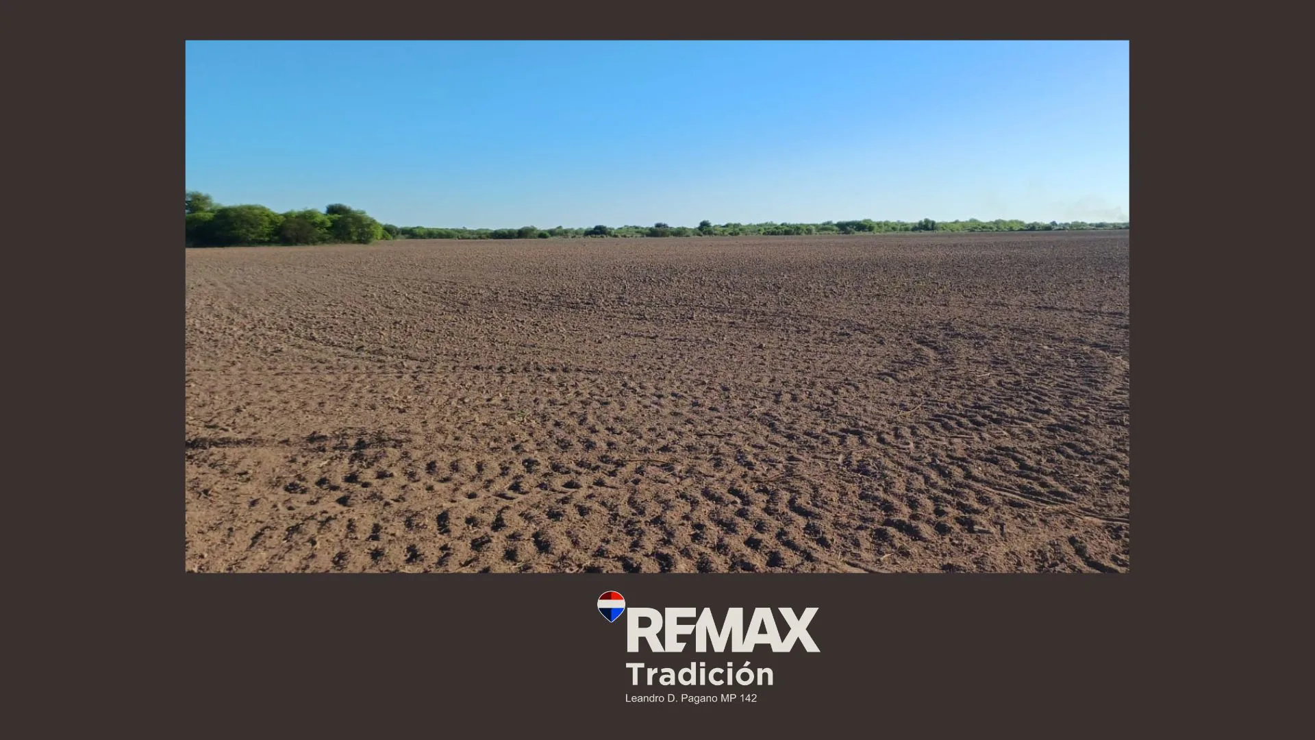 Campo Mixto de 100 Hectáreas en Juan José Castelli foto 3