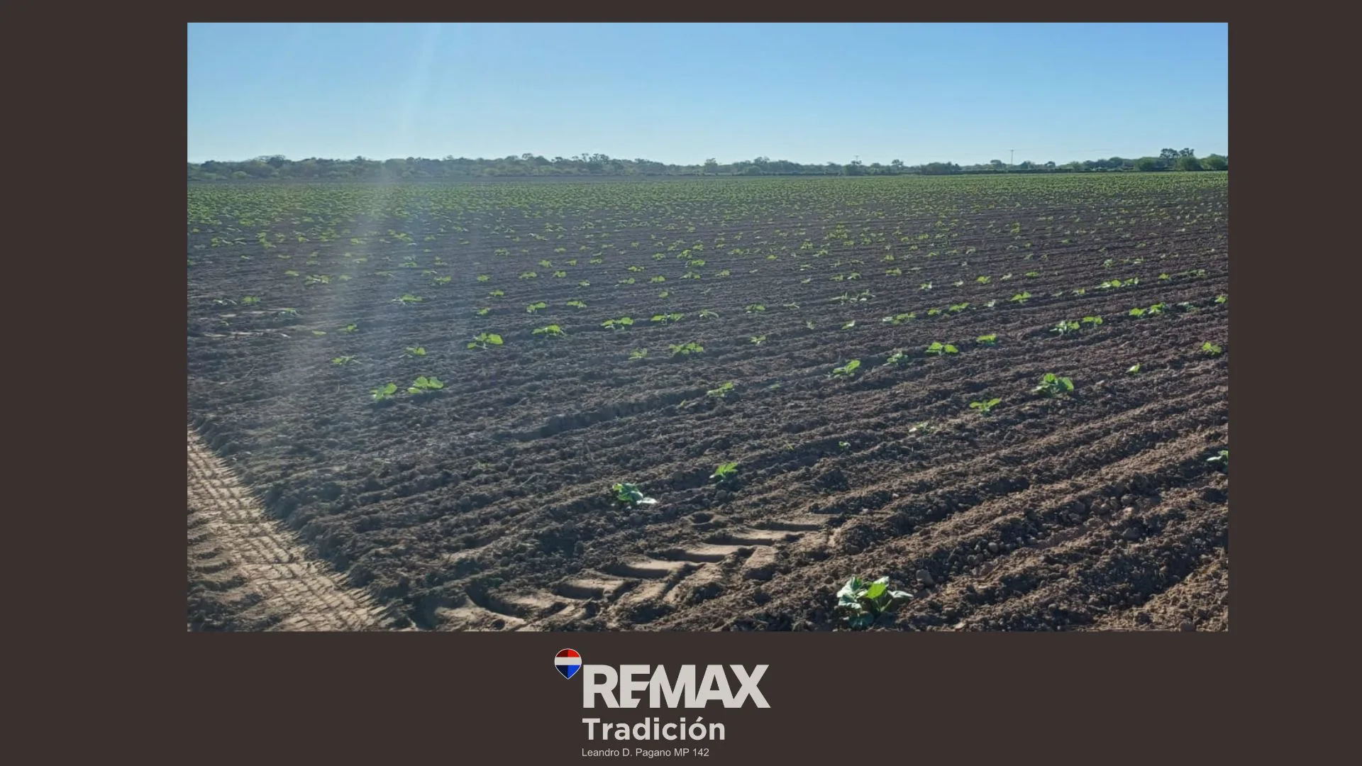 Campo Mixto de 100 Hectáreas en Juan José Castelli foto 4