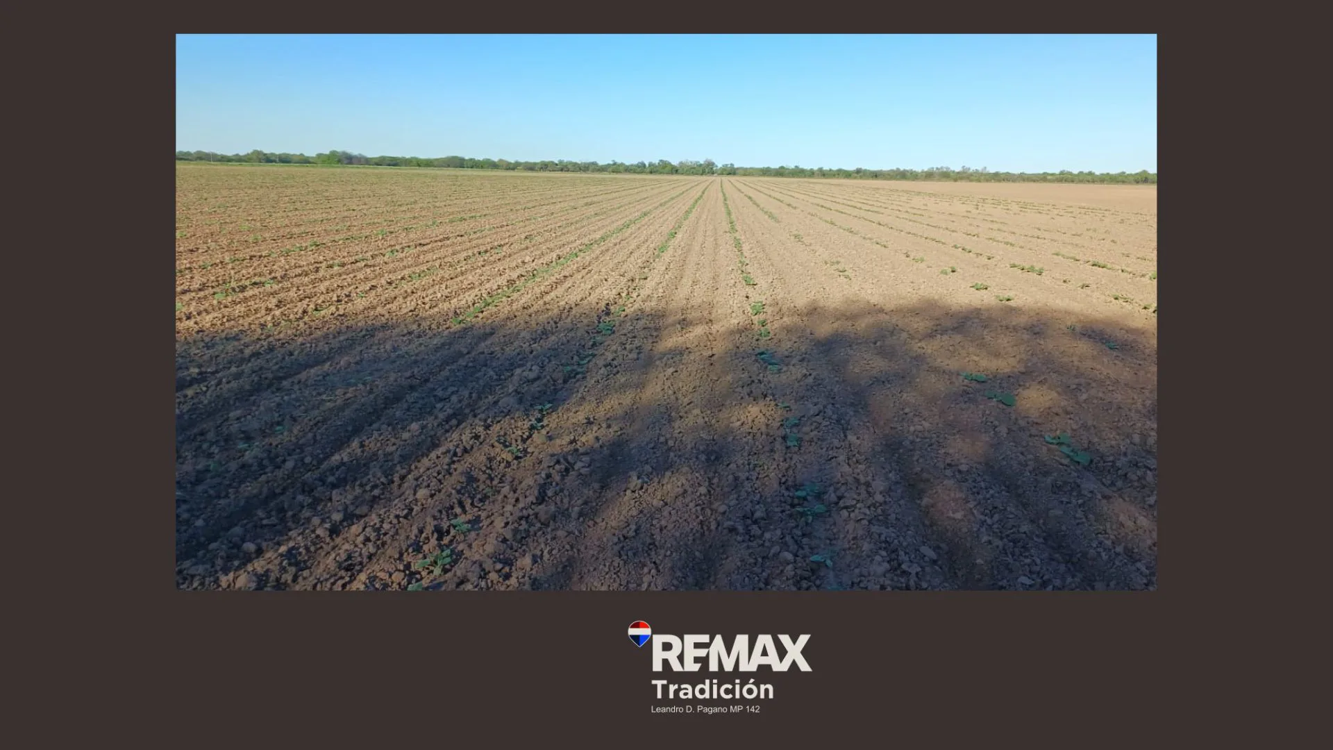 Campo Mixto de 100 Hectáreas en Juan José Castelli foto 5
